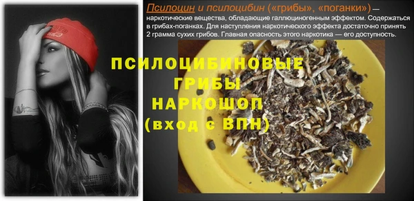 дмт Алексеевка