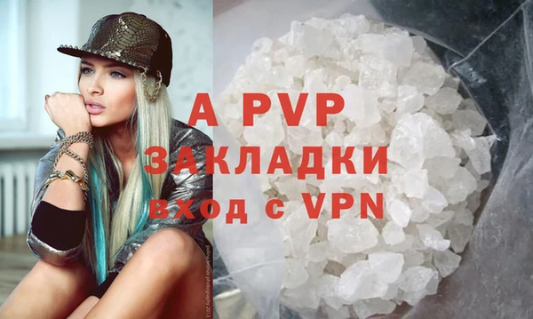 индика Кинешма