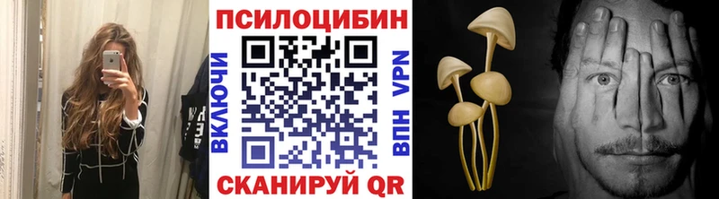 мега как войти купить наркоту Билибино Галлюциногенные грибы Cubensis